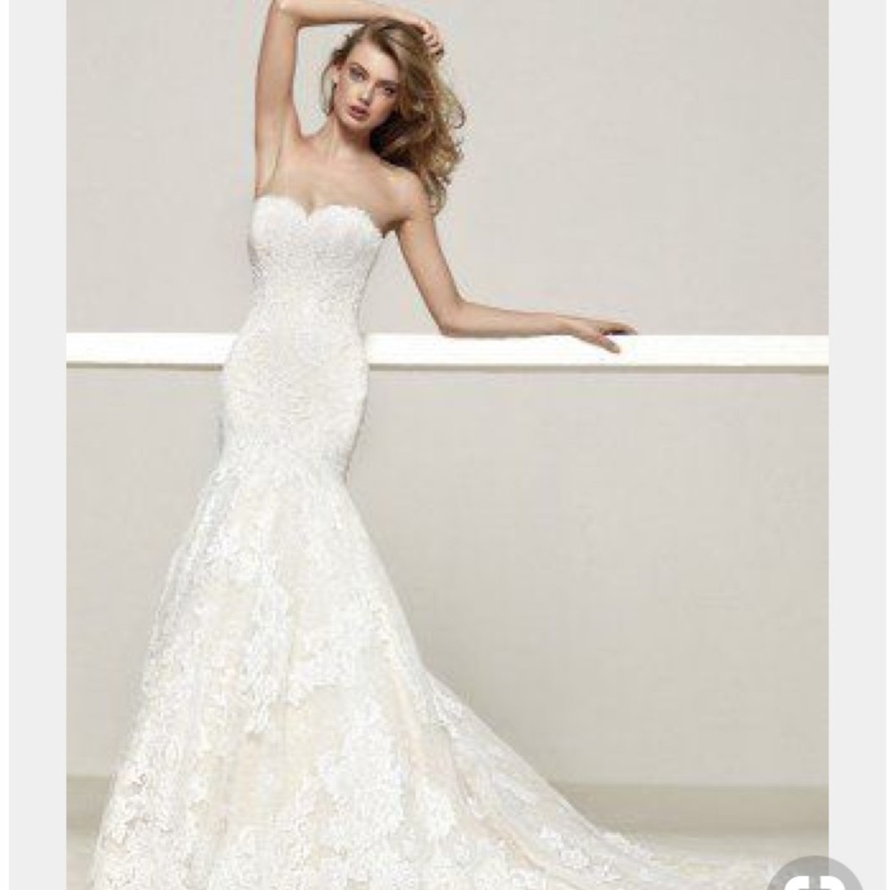 Pronovia Barcelona Druida! Excellent condition!